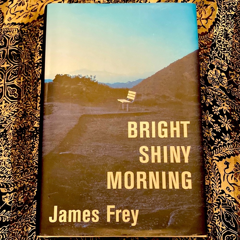 Bright Shiny Morning by James Frey